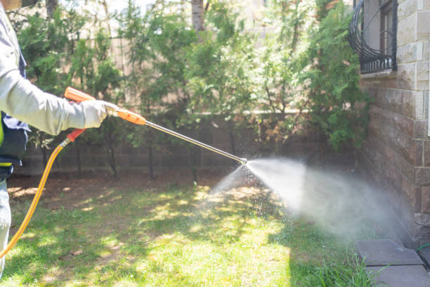 Best Bee and Wasp Removal  in Glandorf, OH